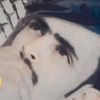 user2431999997751