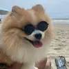 Aumigo Teddy
