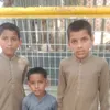 aazan.rajput4