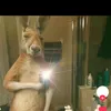 vjreeeerg
