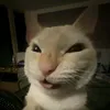 thiagozasls