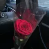 kkrdlnb_
