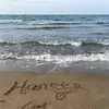 haneen.bassam.dab