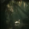 urfavsupri