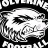 thewolverines0