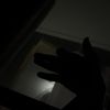 wilky_8103