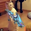 minh.qun.v65