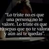david.quijije8