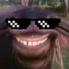 bbuivvannhuyy922009.com