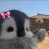 lusy8147