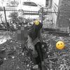 pr4ttyluh.putri