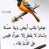 suhaila.musa0