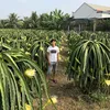 minh.tun2598