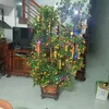 laohac981