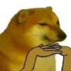 ditmecuocdoi505