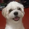 jeeekkkoo
