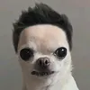 emily.o.frog