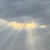 gs__rmo