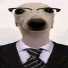 tongvanvay