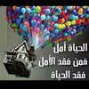 user4337827762982