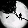 idp__30