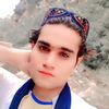 qasim.khan6013