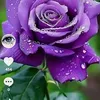user5903108738166