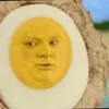 scottcheggsworth
