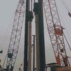 dion0938