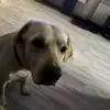 remembermyname0000