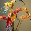 anh.quan7014