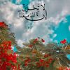 logy2359