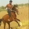 ibrahim_listrer
