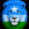 marwoh71abdirisaq6