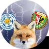 polski.lisek