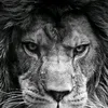 user5404761310561