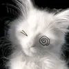 leyyn.nn