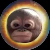 nhantaii_09