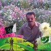 rahmatullah.ari.s