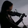 zz_88y4