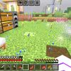 soywalemc