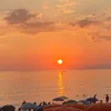 ele_554