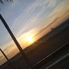 andreacarolina_193
