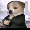 fantlinh20nam