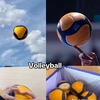 volleyball2114