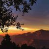 asadgul_079