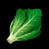 lettucesucksatmusic