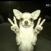 myboomshakalaka