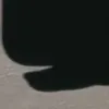 _l00.4