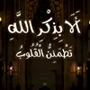 shimaa6529